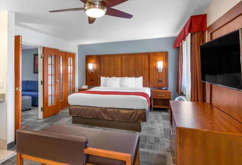 Sviitti King-vuode, Comfort Suites Denver Tech Center