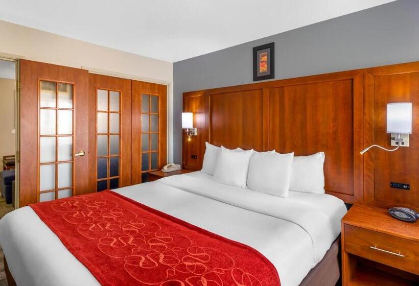 스위트 킹사이즈 침대, Comfort Suites Denver Tech Center