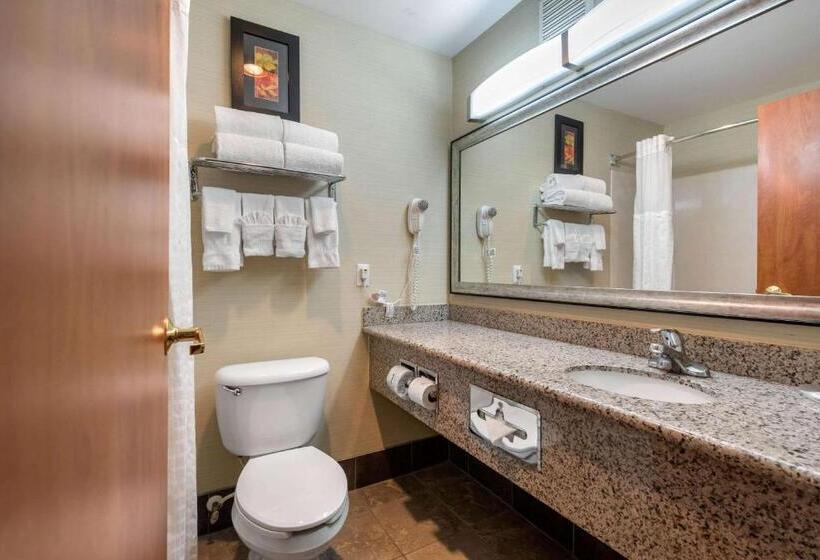 Sviitti, Comfort Suites Denver Tech Center