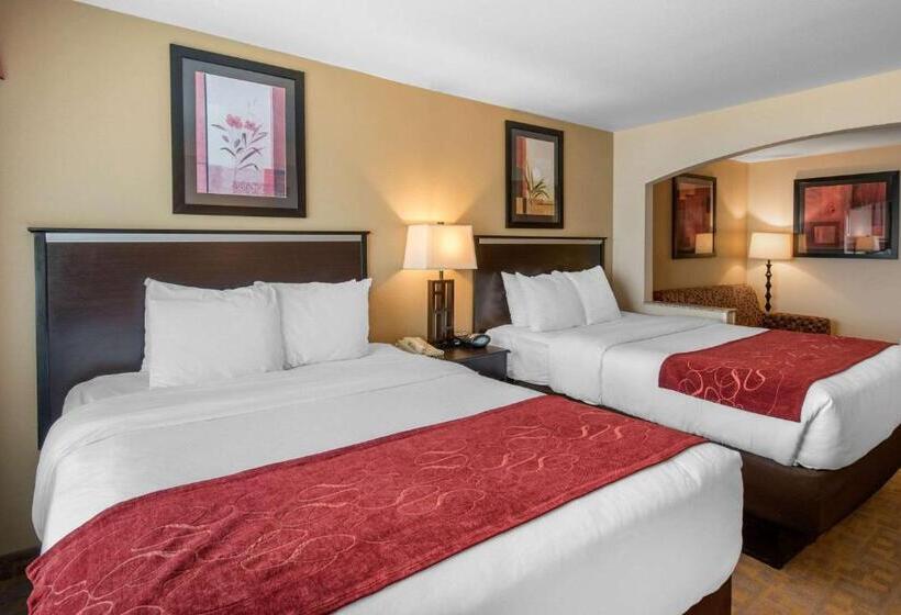 스위트, Comfort Suites Denver Tech Center
