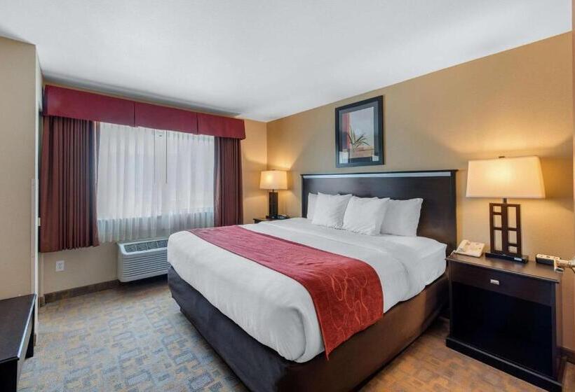Standard-huone, Comfort Suites Denver Tech Center