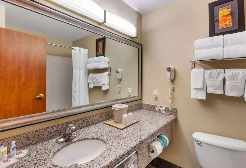 スタンダードルーム, Comfort Suites Denver Tech Center
