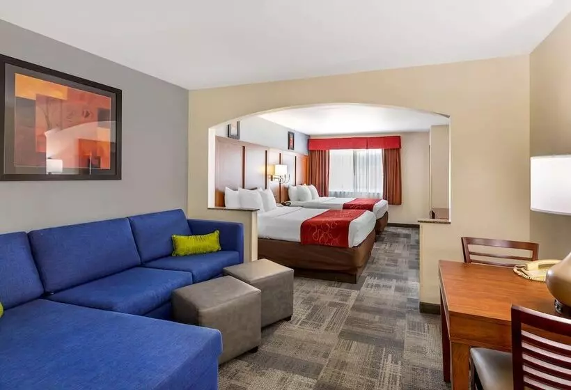 スタンダードルーム, Comfort Suites Denver Tech Center