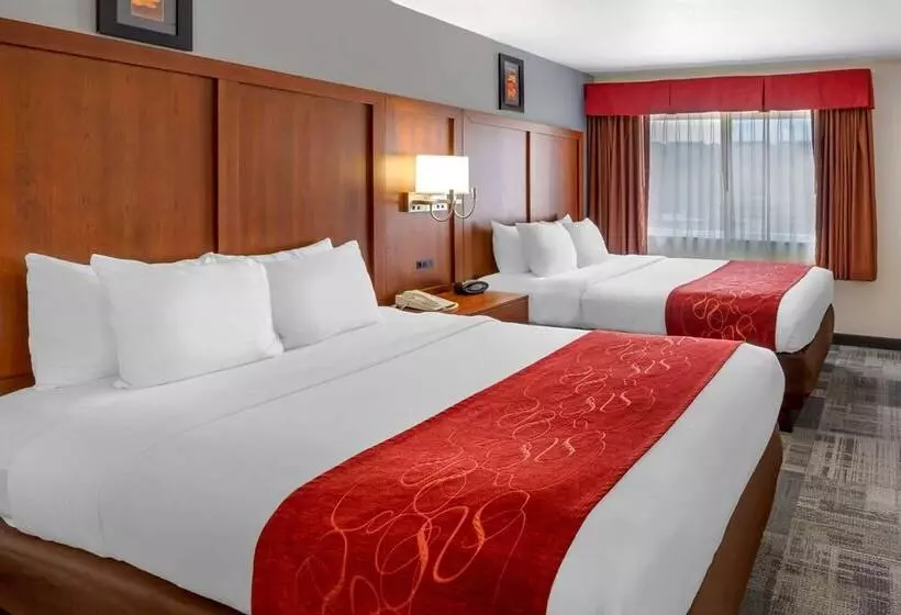 スタンダードルーム, Comfort Suites Denver Tech Center