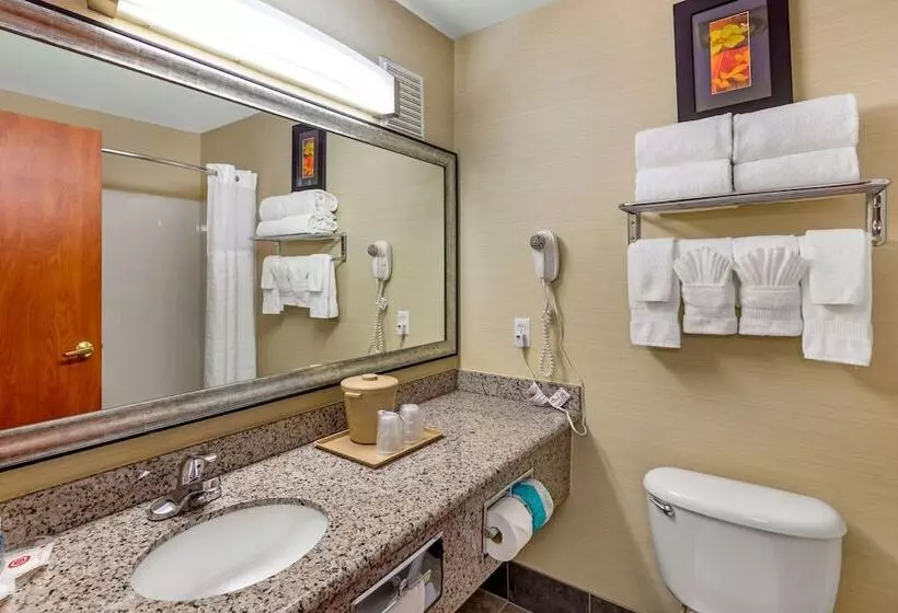 スイート, Comfort Suites Denver Tech Center