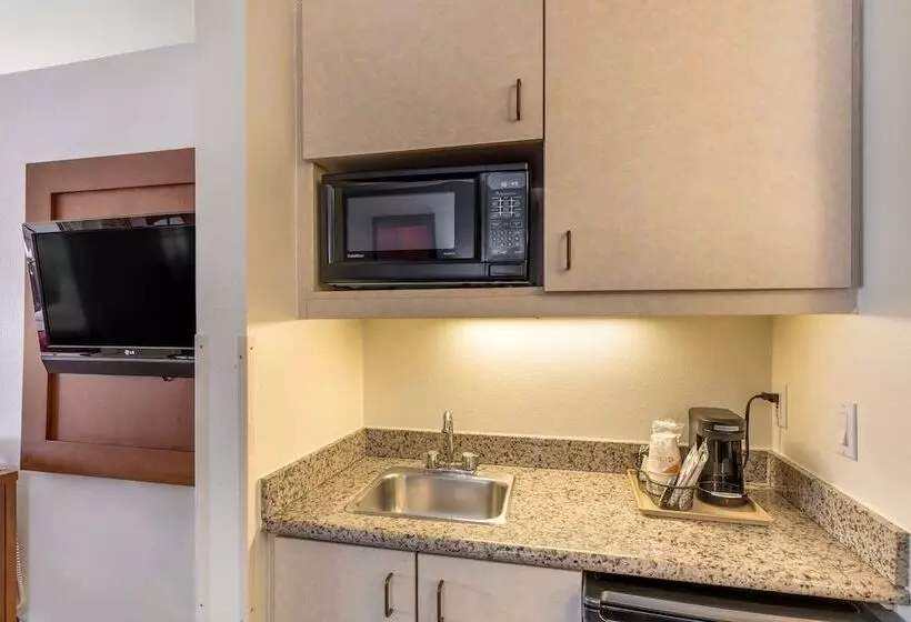 スイート, Comfort Suites Denver Tech Center
