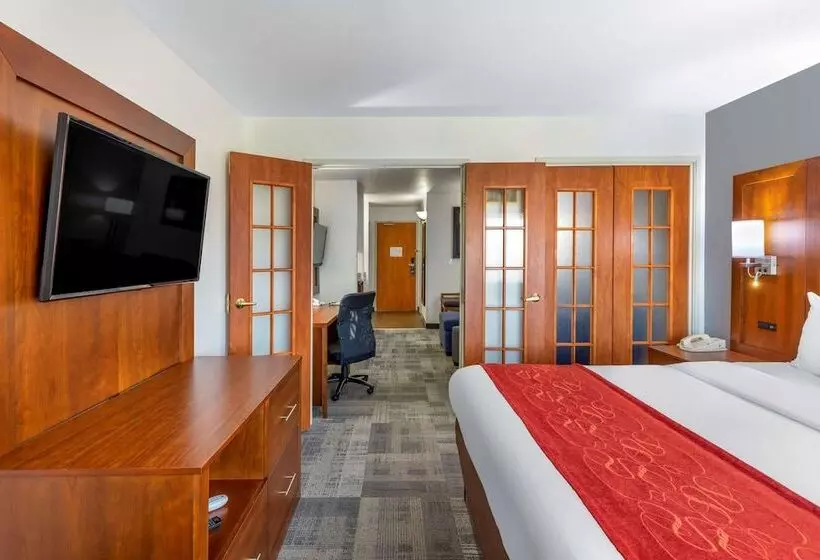 スイート, Comfort Suites Denver Tech Center