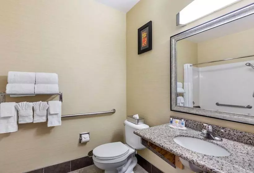 身障者適用スイートルーム, Comfort Suites Denver Tech Center