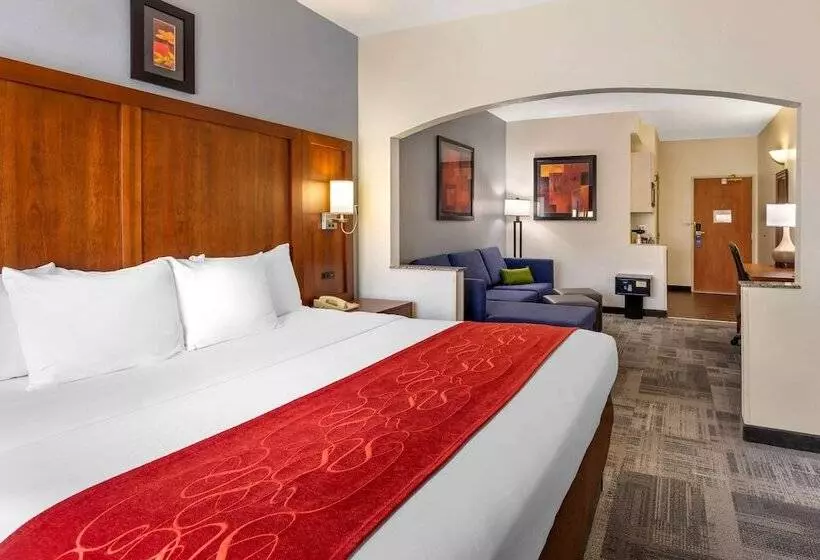 身障者適用スイートルーム, Comfort Suites Denver Tech Center