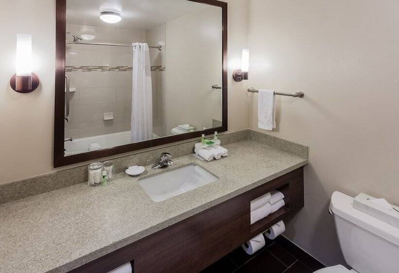 스탠다드 룸 더블 침대, Holiday Inn Express & Suites Carpinteria, An Ihg