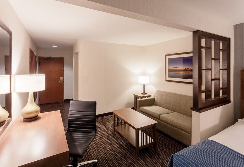 스탠다드 룸 더블 침대, Holiday Inn Express & Suites Carpinteria, An Ihg