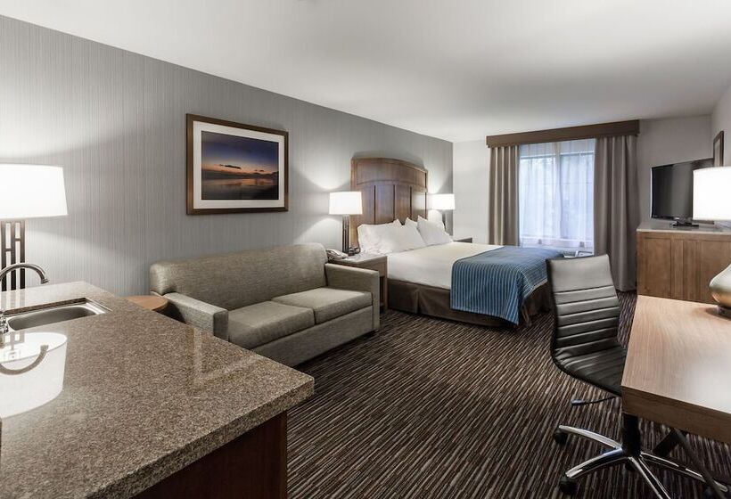 스탠다드 룸 더블 침대, Holiday Inn Express & Suites Carpinteria, An Ihg