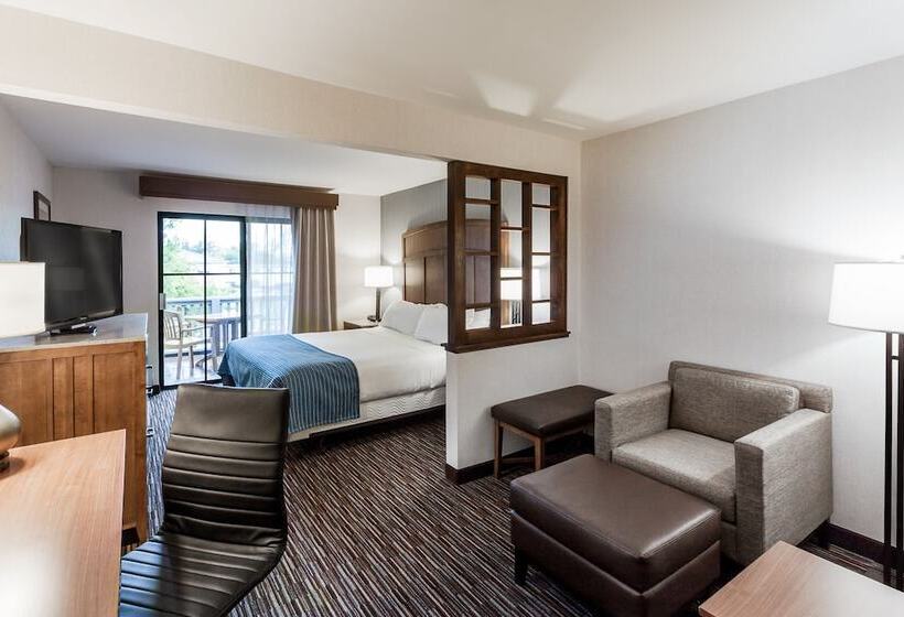 스탠다드 룸 더블 침대, Holiday Inn Express & Suites Carpinteria, An Ihg
