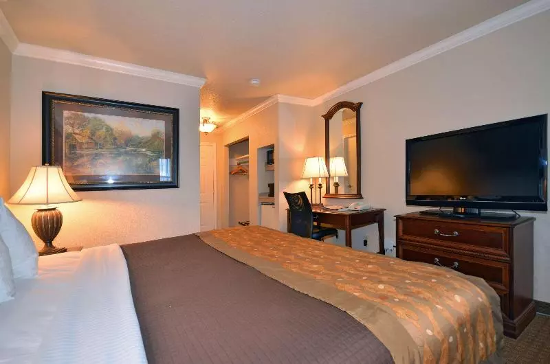 اتاق استاندارد با چشم‌انداز دریا, Iberostar Waves Playa Gaviotas - All Inclusive