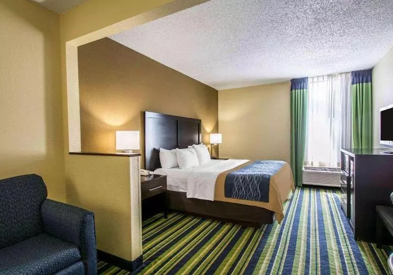 キングサイズベッドのスイートルーム, Comfort Inn & Suites Lantana West Palm Beach South