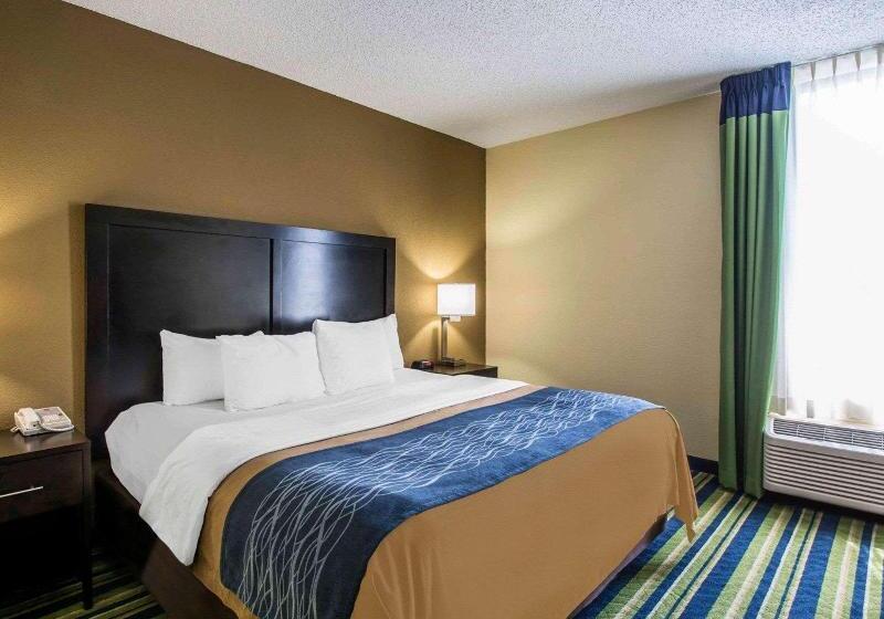 جناح سرير كينج, Comfort Inn & Suites Lantana   West Palm Beach South