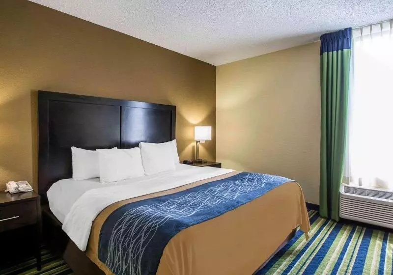 キングサイズベッドのスイートルーム, Comfort Inn & Suites Lantana West Palm Beach South