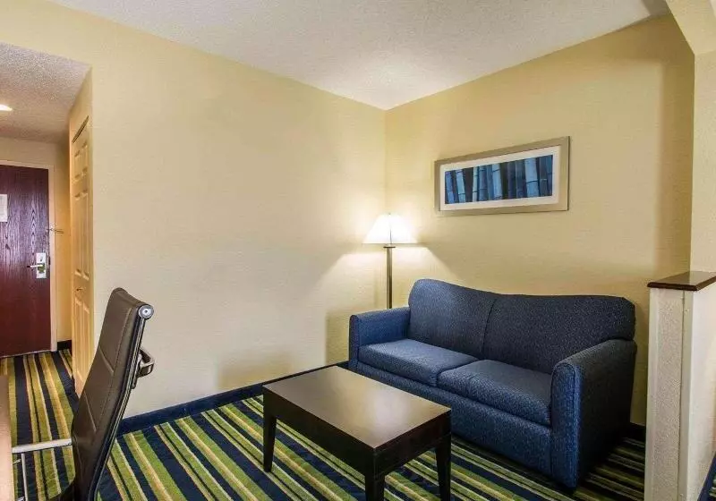 キングサイズベッドのスイートルーム, Comfort Inn & Suites Lantana West Palm Beach South