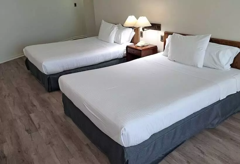 اتاق استاندارد, Diego De Almagro Costanera Antofagasta