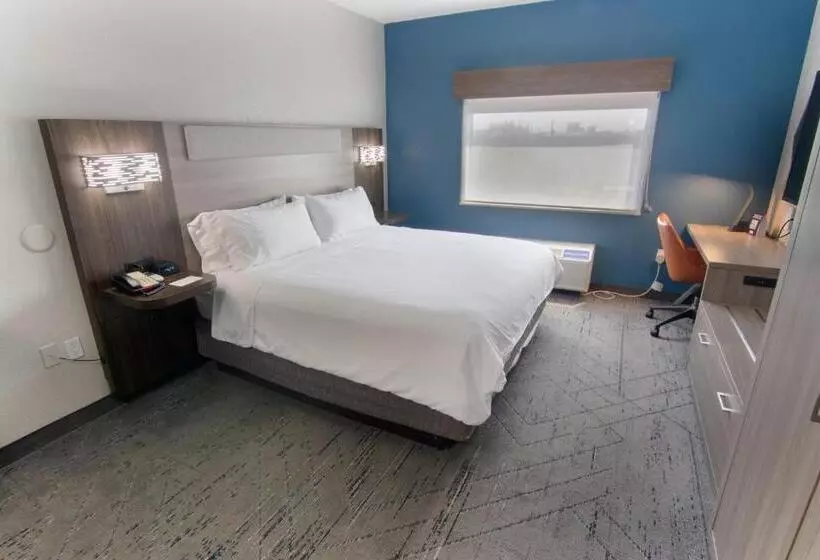身障者適用キングサイズベッドルーム, Holiday Inn Express And Suites Fort Lauderdale Airport West, An Ihg
