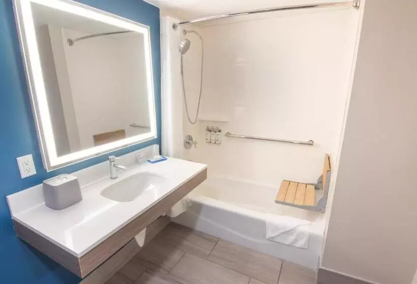 身障者適用キングサイズベッドルーム, Holiday Inn Express And Suites Fort Lauderdale Airport West, An Ihg