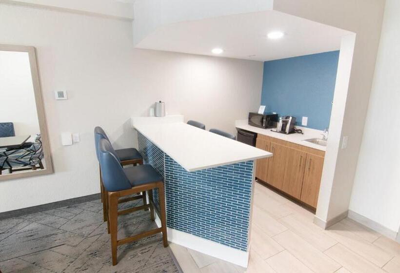 장애인을 위한 스위트, Holiday Inn Express And Suites Fort Lauderdale Airport West, An Ihg
