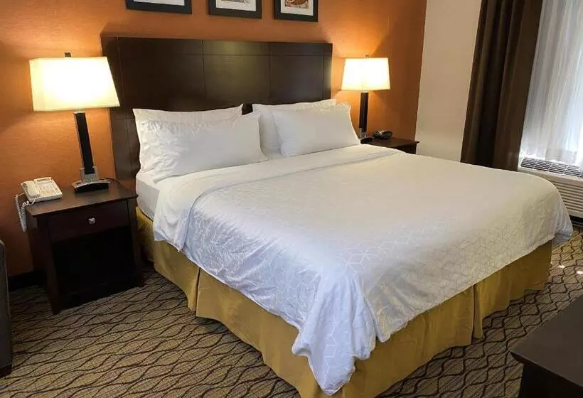 Sviitti King-vuode, Holiday Inn Express Hotel & Suites Danbury   I 84 By Ihg