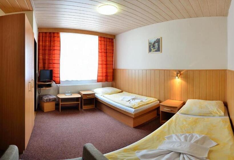 غرفة قياسية, Horsky Hotel Mnich