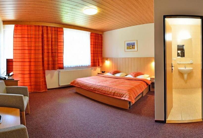 غرفة قياسية, Horsky Hotel Mnich
