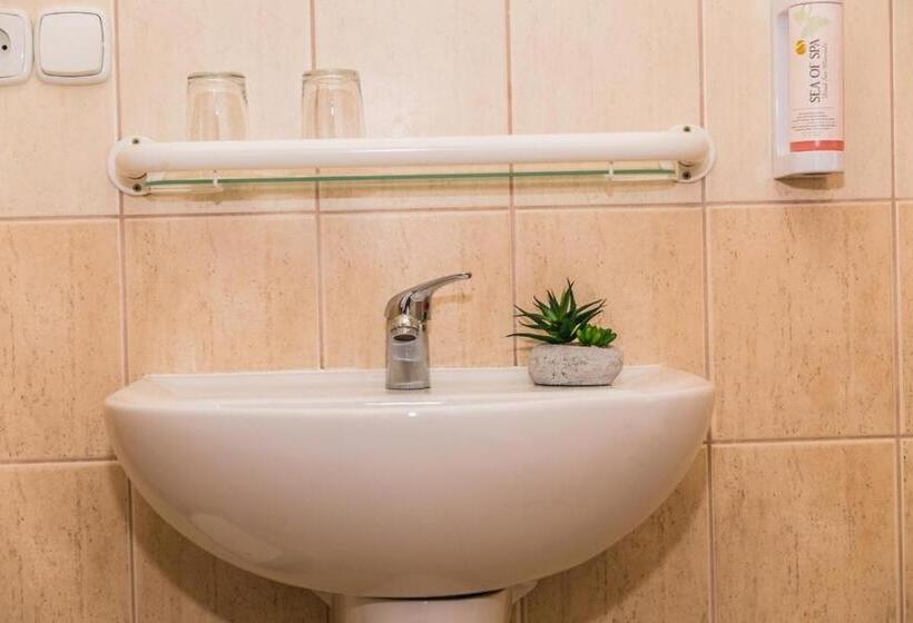 غرفة قياسية, Horsky Hotel Mnich