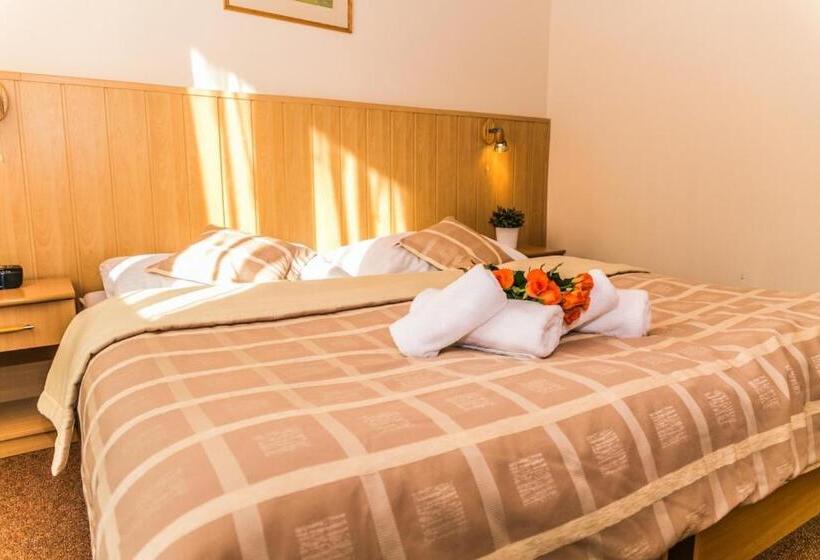스탠다드 룸, Horsky Hotel Mnich