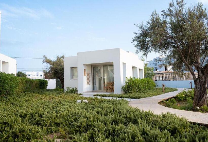 וילה בת חדר שינה 1, Can Salia