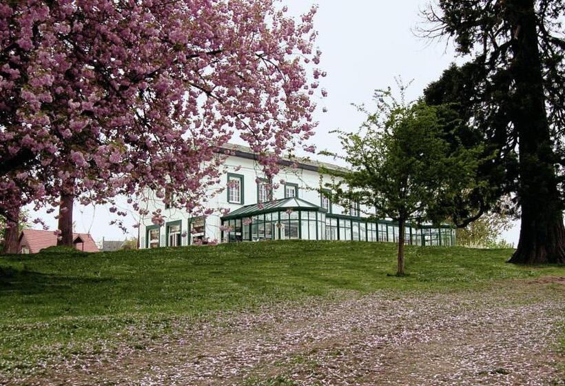 Номер Стандарт, Logis   Hotel Restaurant La Sapinière