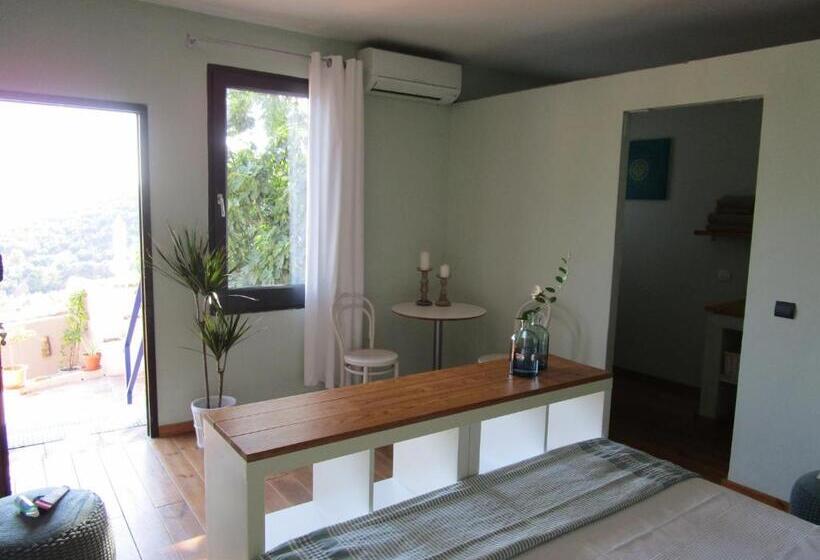 标准三人间, Casa Pura Vida