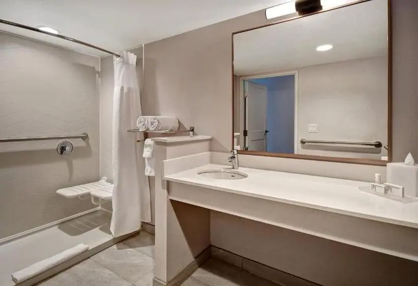 身障者適用キングサイズベッドルーム, Fairfield Inn & Suites Las Vegas Airport South