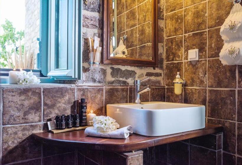 オーシャンビュースイート, Palaeopoli Villas