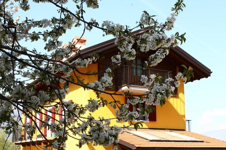 스탠다드 룸, Agriturismo Malga Riondera