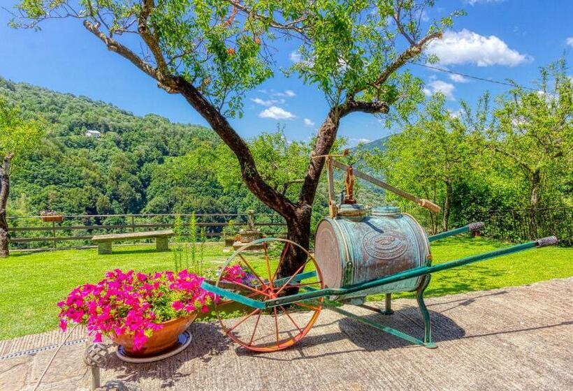 اتاق لوکس, B&b La Bredia