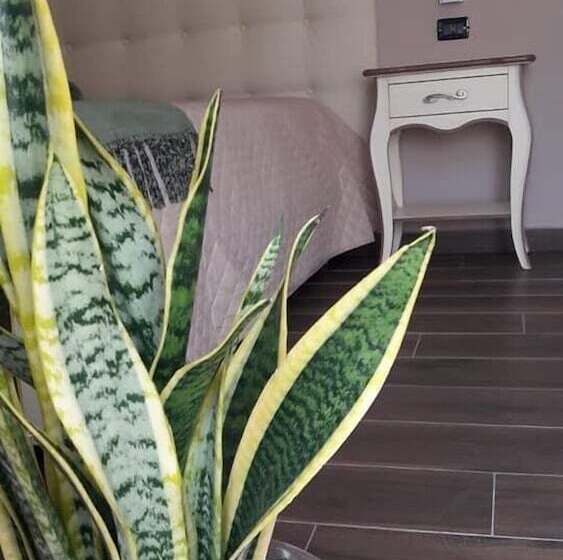 Номер Стандарт, Casale Degli Ulivi