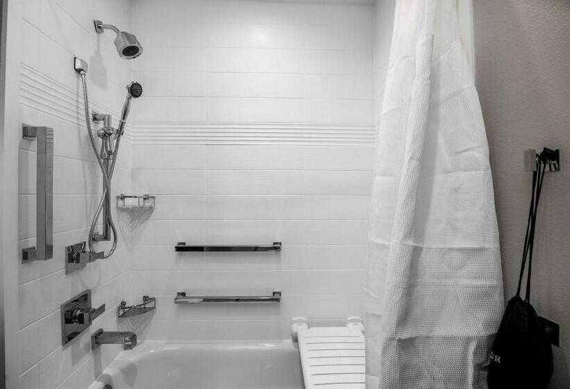 استودیو استاندارد با تخت کینگ, Towneplace Suites By Marriott Houston Hobby Airport