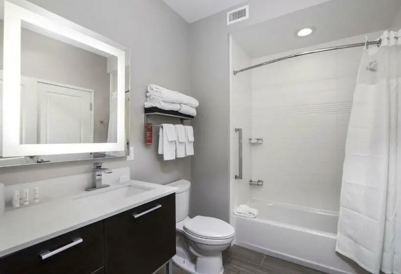 סטודיו סטנדרט, מיטה זוגית, Towneplace Suites By Marriott Houston Hobby Airport