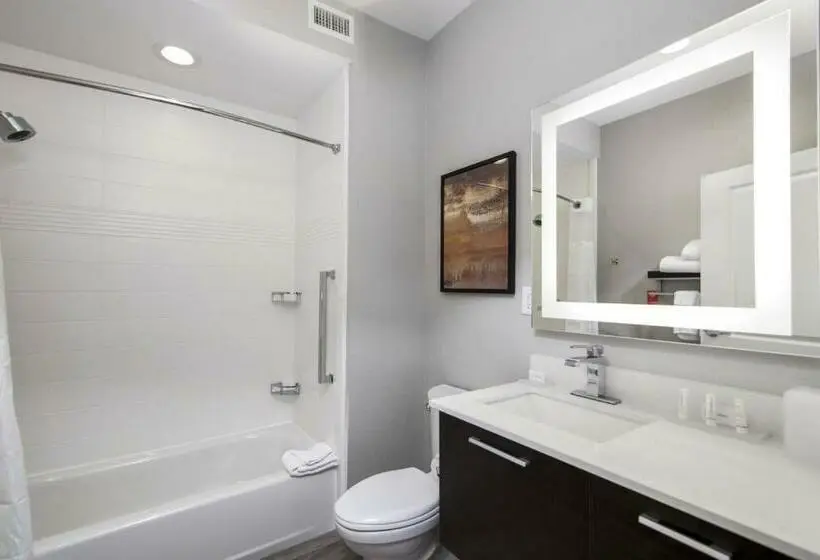סטודיו סטנדרט, מיטה זוגית, Towneplace Suites By Marriott Houston Hobby Airport