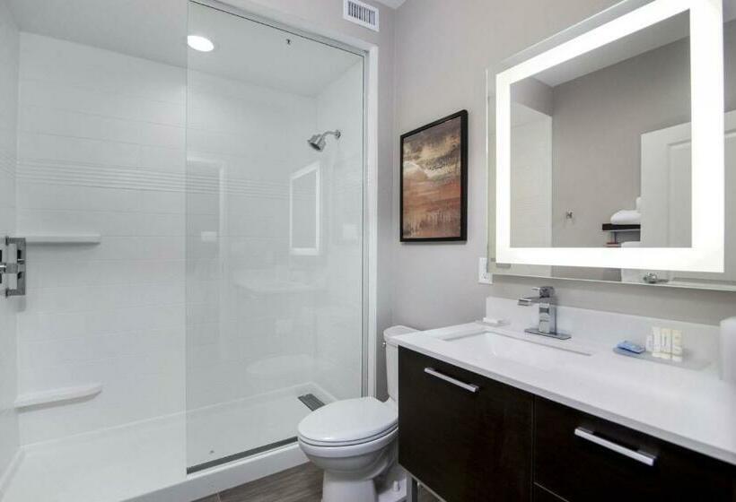 استودیو استاندارد با تخت کینگ, Towneplace Suites By Marriott Houston Hobby Airport