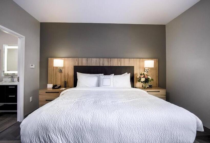 استودیو استاندارد با تخت کینگ, Towneplace Suites By Marriott Houston Hobby Airport
