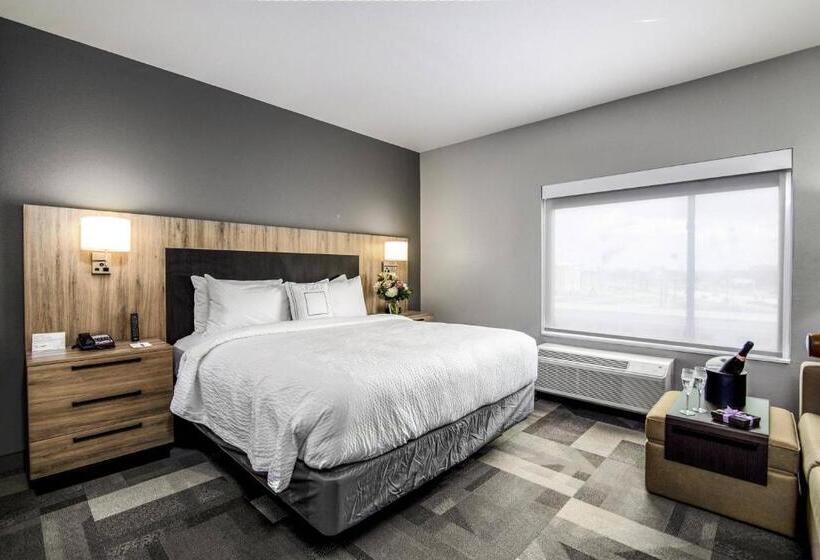 סטודיו סטנדרט, מיטה זוגית, Towneplace Suites By Marriott Houston Hobby Airport
