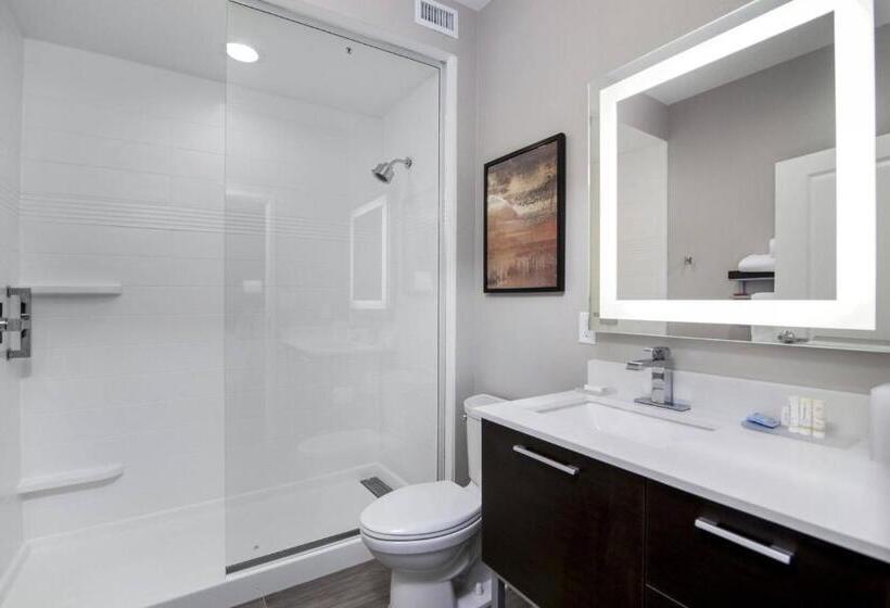חדר סטודיו סטנדרד, Towneplace Suites By Marriott Houston Hobby Airport