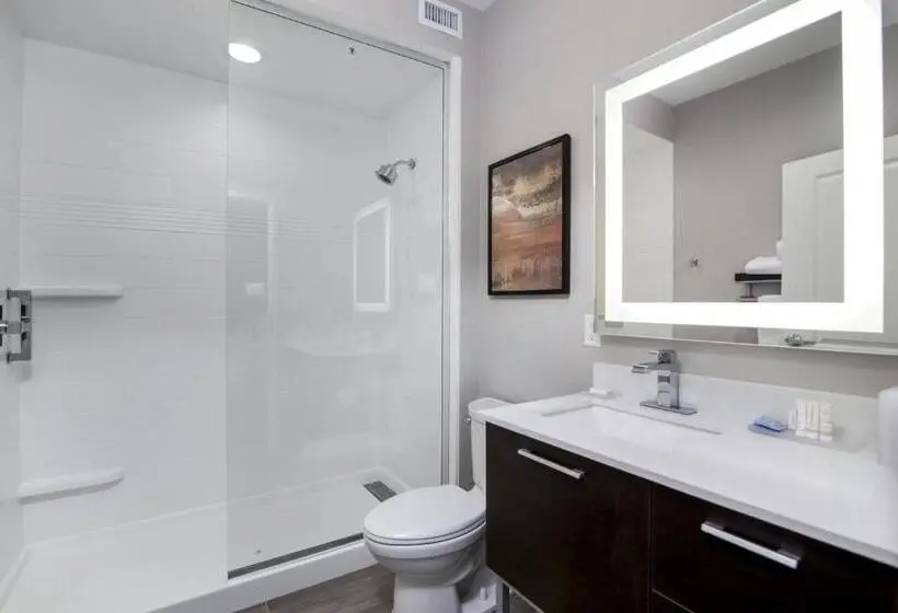 חדר סטודיו סטנדרד, Towneplace Suites By Marriott Houston Hobby Airport
