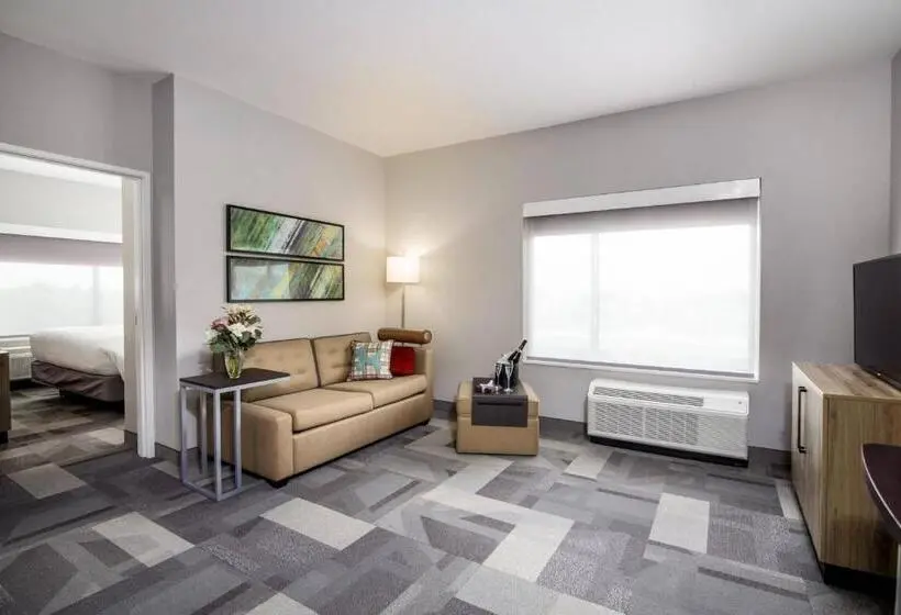 מיטת קינג בסוויטה, Towneplace Suites By Marriott Houston Hobby Airport