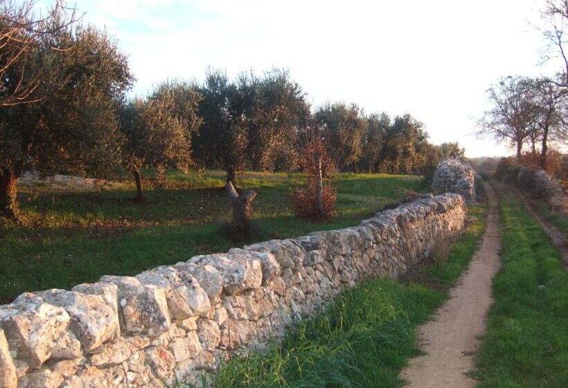 クラシックルーム, Trullitria Rooms