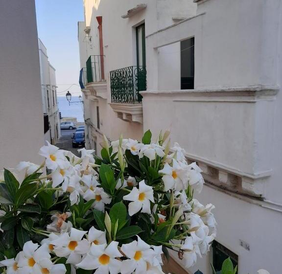 Quarto standard, B&b Fiore